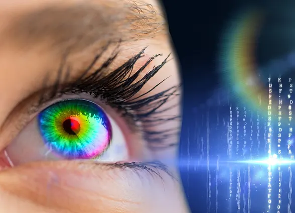 vision